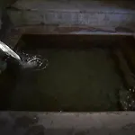 Vilina Vlas 3* Višegrad