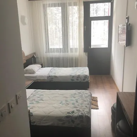 ホテル Vilina Vlas 3*